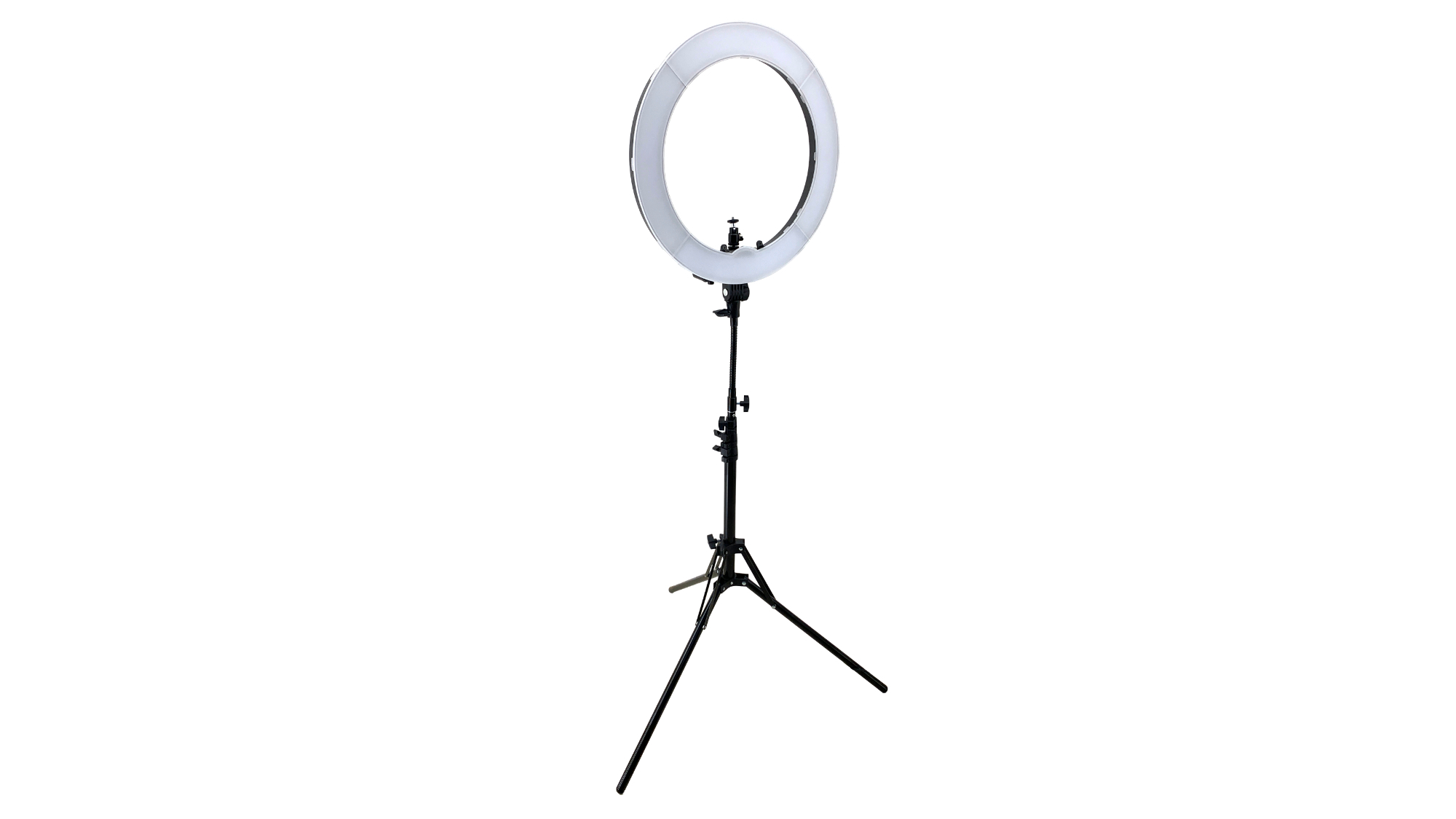 Ringlicht Ringleuchte LED Studiolicht leihen Ringlicht leihen